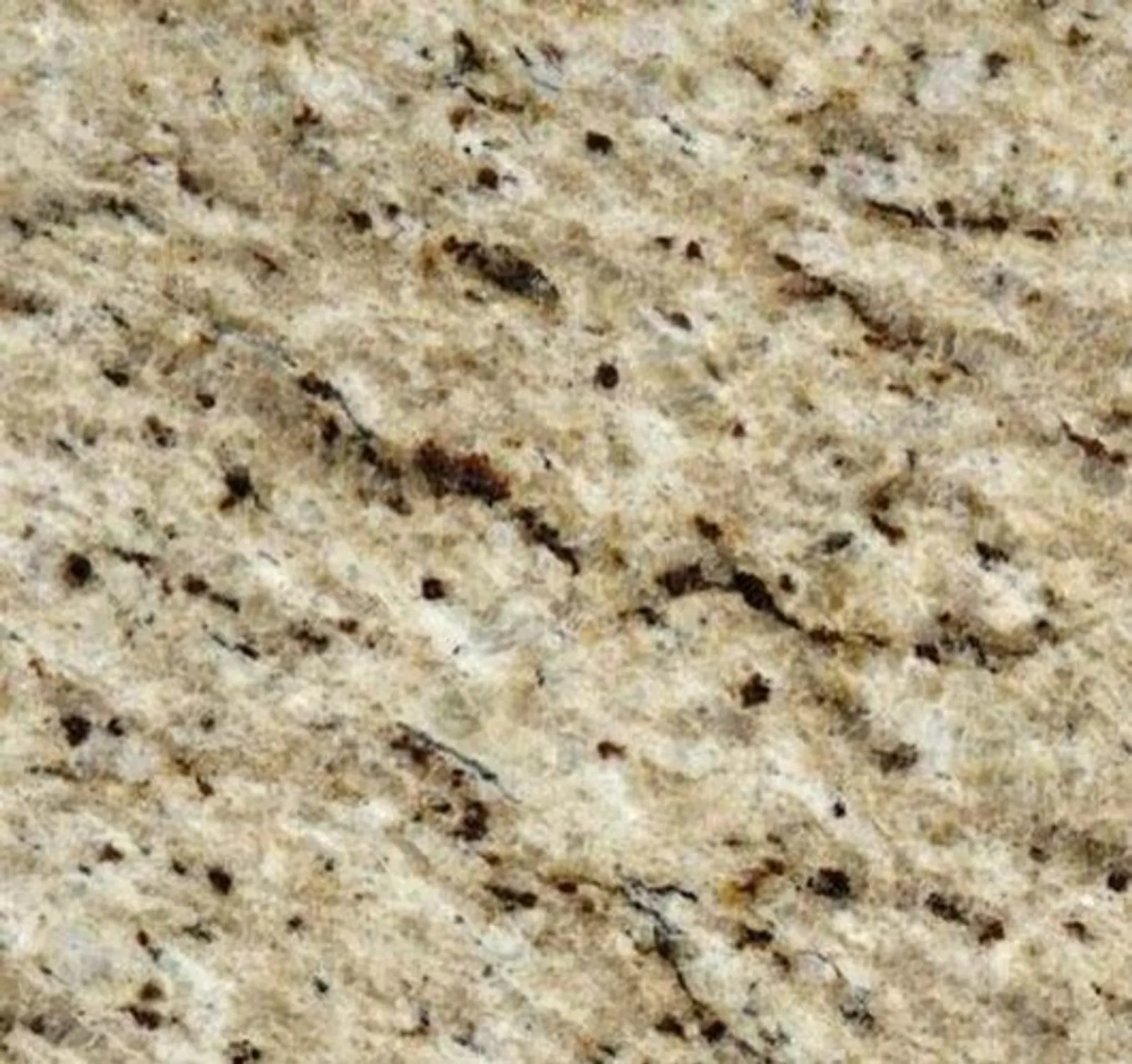 Giallo Ornamental for Website.jpg